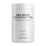 Sea Moss