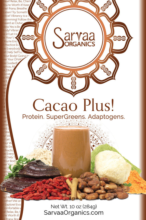 Cacao Plus Protein