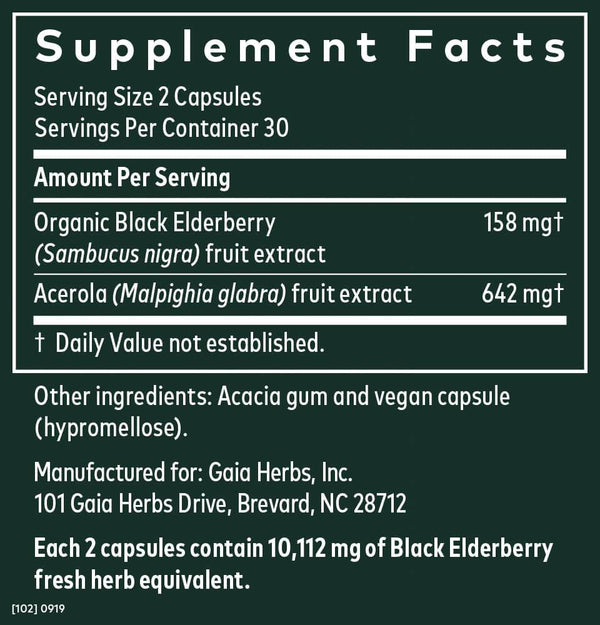 Black Elderberry