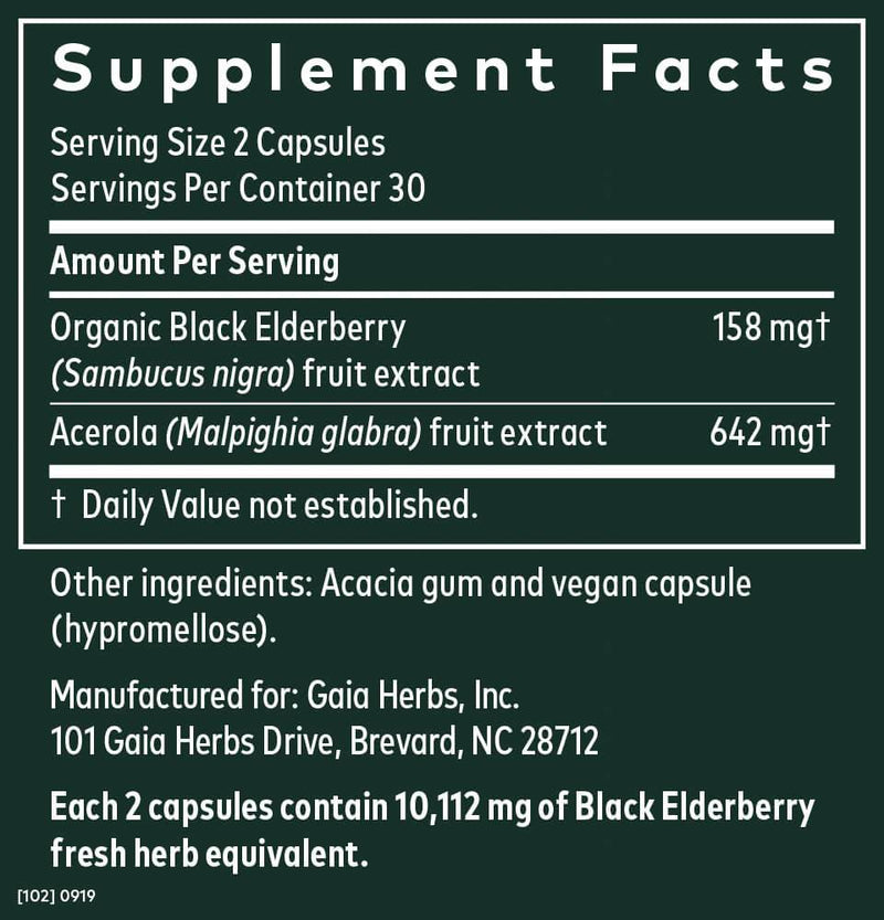Black Elderberry