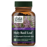 Holy Basil